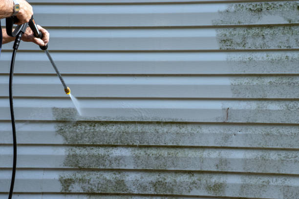 Best Storm Damage Siding Repair  in Holcom, KS